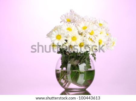 beautiful bouquet of daisies in vase on pink background