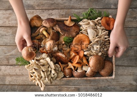 Similar – Foto Bild Frische Champignons in Weidenschale