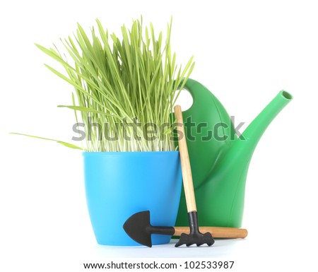 beautiful grass in a flowerpot, watering can and garden tools isolated on white