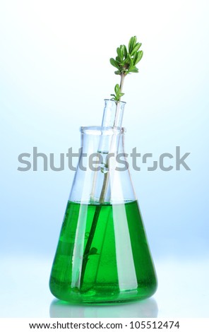 laboratory glassware with color liquid and genetically modified plant on blue background