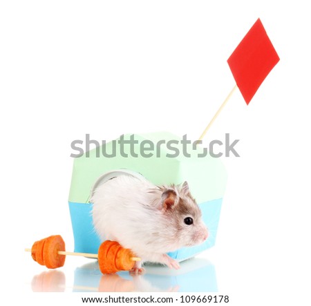 Cute hamster near house isolated white