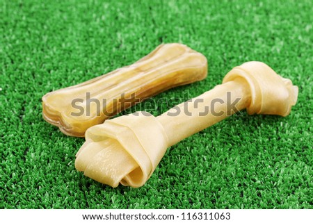 Dog bones on green grass