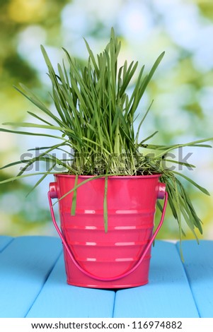 Green grass in bucket on wooden table on bright background