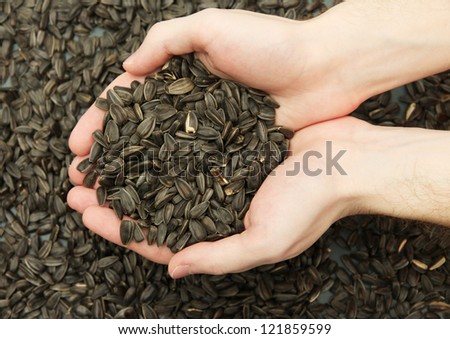 man hands with grain, on sunflower seeds background