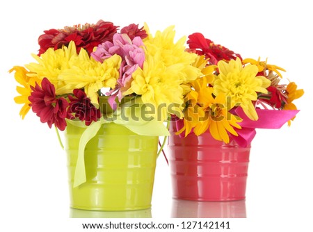 beautiful summer flowers in buckets, isolated on white