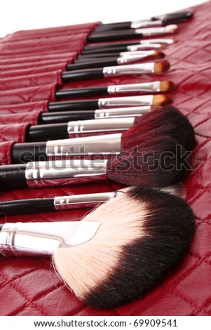 cosmetic brushes in cosmetics bag on white
