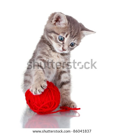 Funny Gray Kitten And Ball Of Thread Isolated On White Stock Photo ...