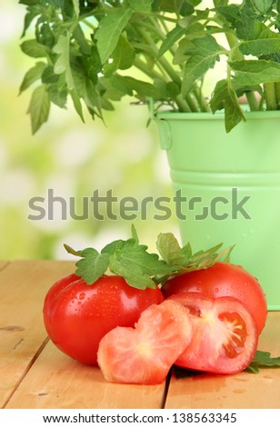 Fresh tomatoes and young plant in bucket on wooden table on natural background