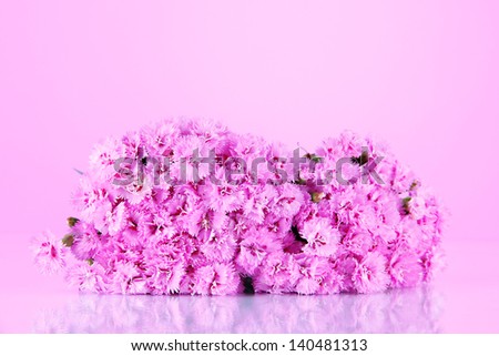 Many small pink cloves on pink background