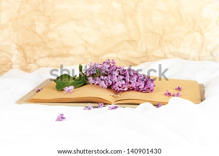 Lilacs branch on book on light background