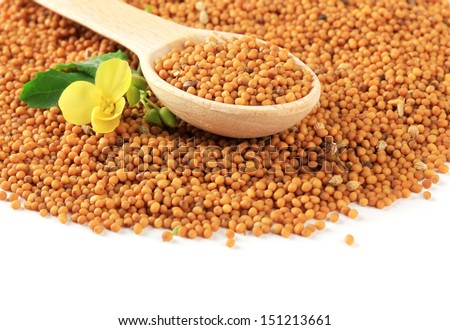 Mustard seeds with mustard flower isolated on white