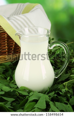 Pitcher of milk and basket on grass on nature background