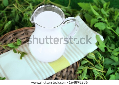 Pitcher of milk on napkin on wicker tray on grass