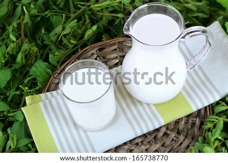 Pitcher and glass of milk on napkin on wicker tray on grass