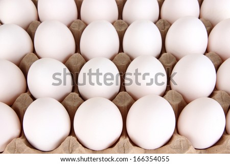 Eggs in paper tray close-up