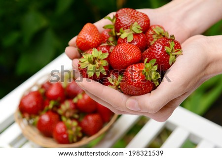 Ripe sweet strawberries in female hands on bright background