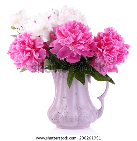 Beautiful pink and white peonies in vase, isolated on white