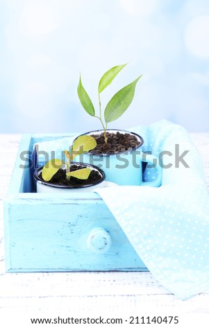 Young plant in mugs in wooden box, on color wooden table, on bright background