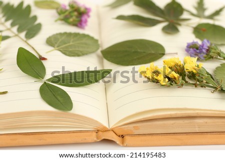 Dry up plants on book isolated on white