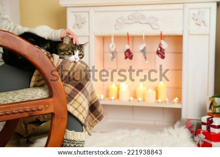 Woman and cute cat sitting on rocking chair in the front of the fireplace