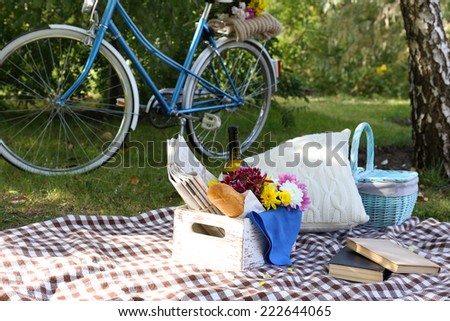 Old bicycle and picnic snack on checkered blanket on grass in park