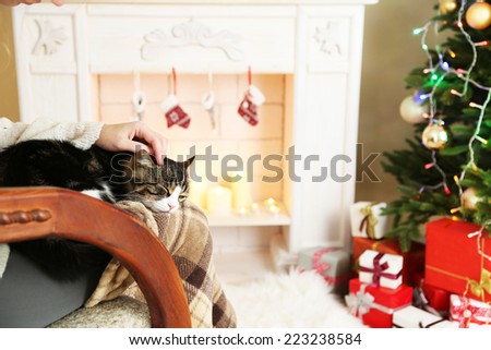 Woman and cute cat sitting on rocking chair in the front of the fireplace