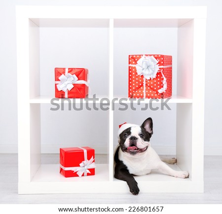 French bulldog with Santa hat and presents on sofa in room