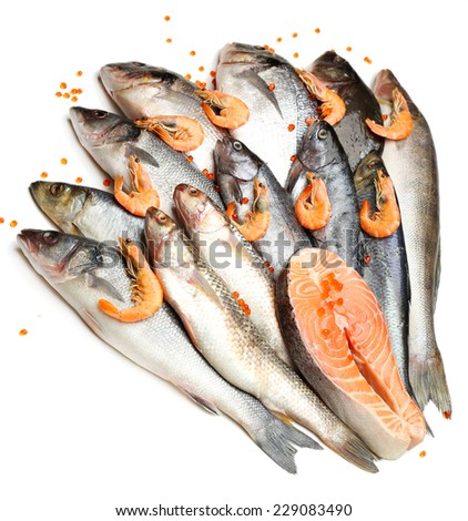 Fresh catch of fish and shrimps, isolated on white