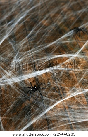 Cobweb with spider on wooden background