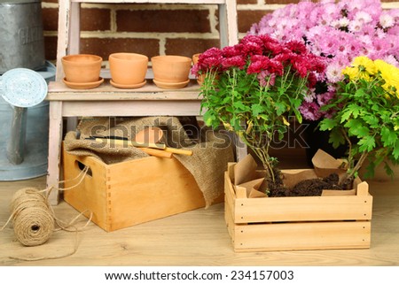 Flowers in wooden box, pots and garden tools on bricks background. Planting flowers concept