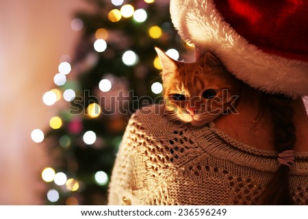 Red cat in hands near Christmas tree