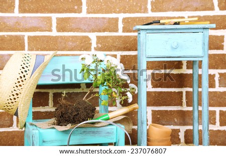 Flowers in pot on chair, potting soil, watering can and plants on floor on bricks background. Planting flowers concept