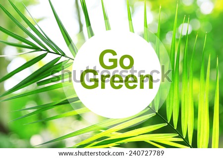 Green leaves in garden, Go Green concept