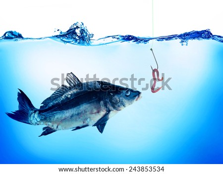 Fish hook with worm in water