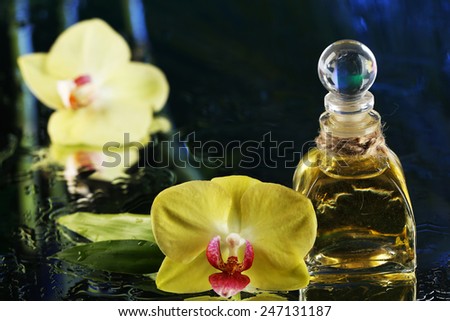 Orchid flowers with water drops and bottle of perfumes on dark colorful background