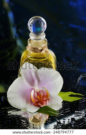 Orchid flower with water drops and bottle of perfumes on dark colorful background