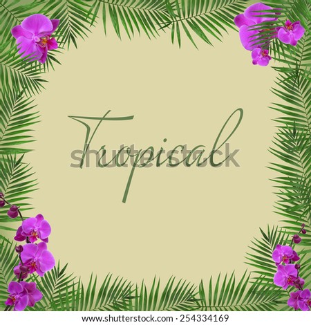 Bright frame made of orchid flowers and leaves with space for text