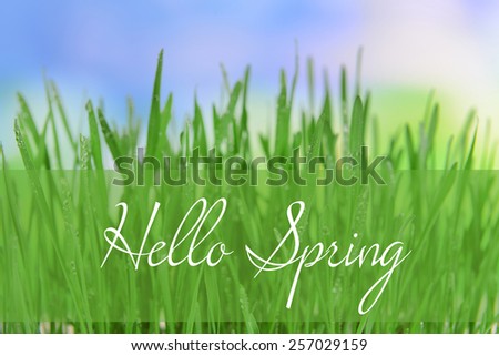 Beautiful spring grass on bright background. Hello Spring concept