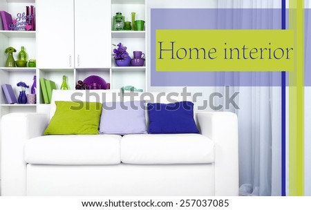Modern interior design. White living room with sofa and bookcase. Home Interior concept
