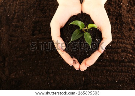 Female handful of soil with small green plant, closeup