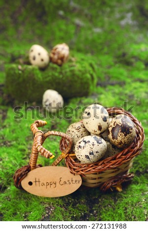 Bird eggs in decorative basket on green grass background