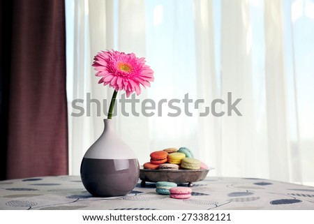 Color gerbera flower in vase and macaroons on table on curtains background