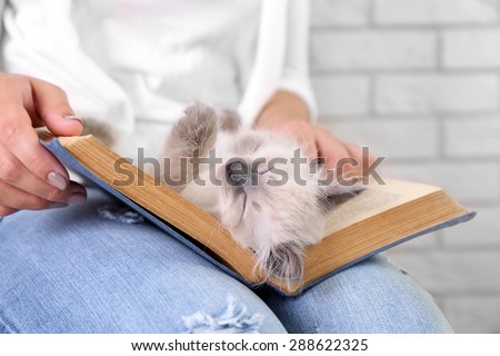 Young woman holding cat and old book, close-up