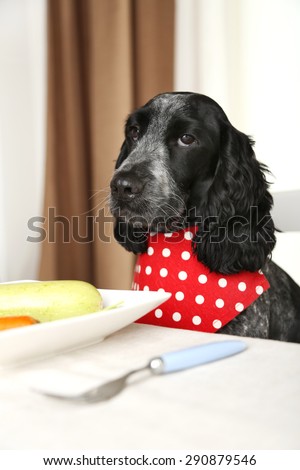 Dog looking at plate of fresh vegetables on dining table
