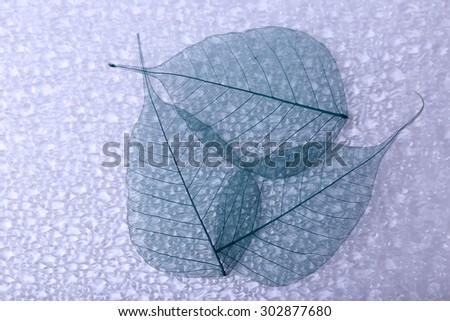 Abstract skeleton leaves background