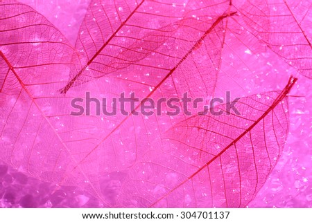 Pink skeleton leaves background