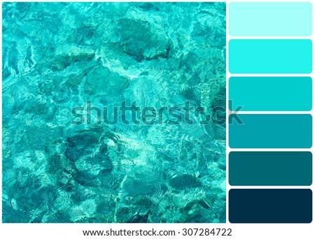Clear ocean water and palette of colors