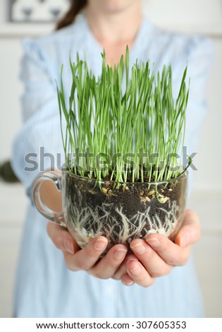 Woman holding transparent pot with fresh green grass