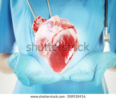 Doctor with stethoscope holding heart