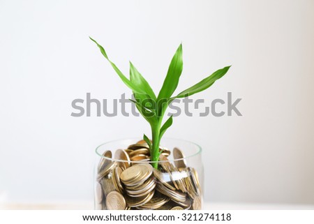 Plant growing in coins on wooden table